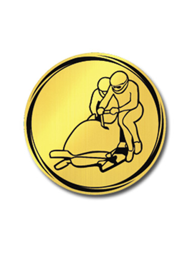 Вкладыш в медаль/ приз/ кубок - VK381/382-6