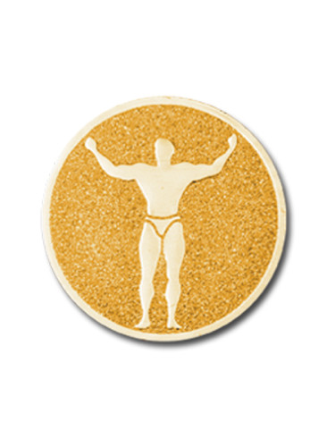 Вкладыш в медаль/ приз/ кубок - BM#A-81