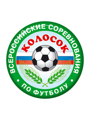 Вкладыш бумажный 25 мм на заказ