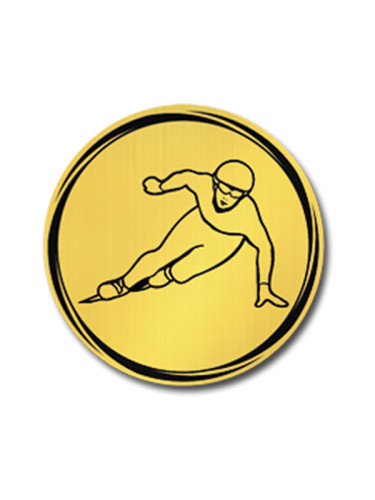 Вкладыш в медаль/ приз/ кубок - VK381/382-79