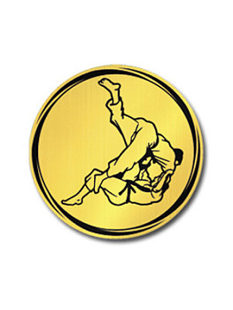 Вкладыш в медаль/ приз/ кубок - VK381/382-21