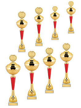 Кубок расширенной серии - KM2899-Z1