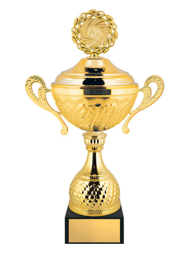 Кубок расширенной серии - KM2895-Z