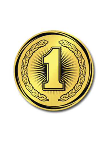 Вкладыш в медаль/ приз/ кубок - VK381/382-31