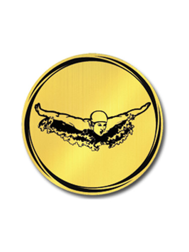 Вкладыш в медаль/ приз/ кубок - VK381/382-37