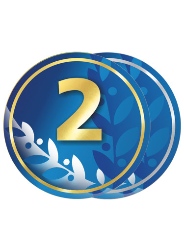 Вкладыш в медаль/ приз/ кубок - Эскиз-521/522-53