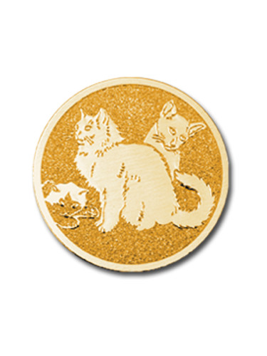 Вкладыш в медаль/ приз/ кубок - BM#A-153