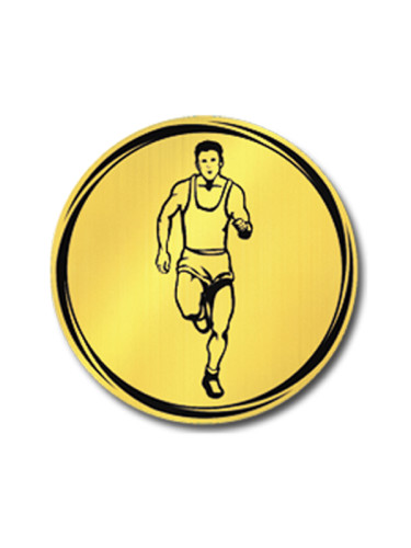 Вкладыш в медаль/ приз/ кубок - VK381/382-27