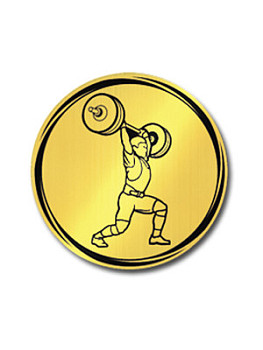 Вкладыш в медаль/ приз/ кубок - VK381/382-63