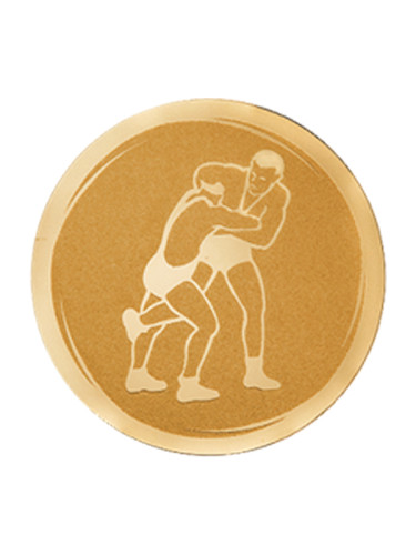 Вкладыш в медаль/ приз/ кубок - VK391-003