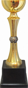Кубок 610