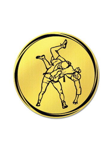 Вкладыш в медаль/ приз/ кубок - VK381/382-84