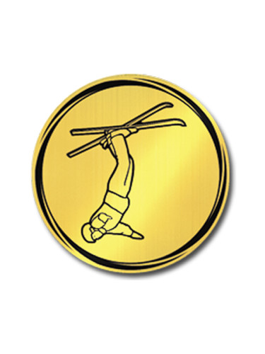 Вкладыш в медаль/ приз/ кубок - VK381/382-70