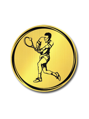 Вкладыш в медаль/ приз/ кубок - VK381/382-60