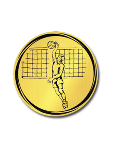 Вкладыш в медаль/ приз/ кубок - VK381/382-12