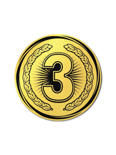 Вкладыш в медаль/ приз/ кубок - VK381/382-33