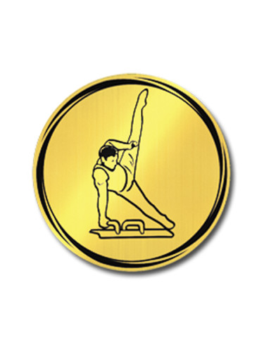 Вкладыш в медаль/ приз/ кубок - VK381/382-52