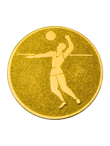 Вкладыш в медаль/ приз/ кубок - BM#A-21